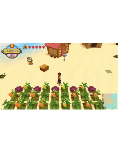 HAC HARVEST MOON