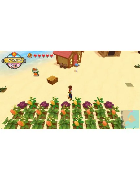 HAC HARVEST MOON