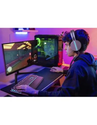 EVNIA GAMING MONITOR 25 REG ALT