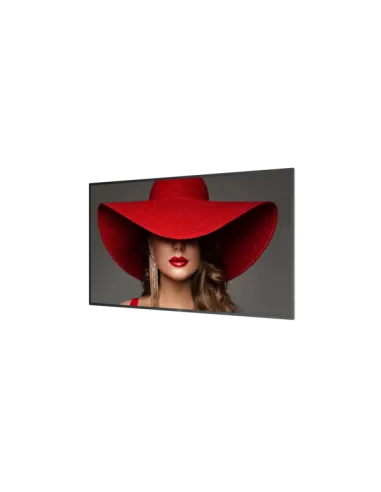 65 MONITOR UHD 24/7 500 NITS