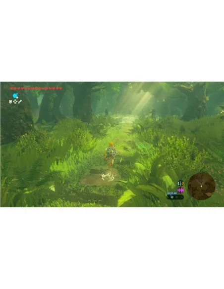 ZELDA BREATH WILD UP ITA