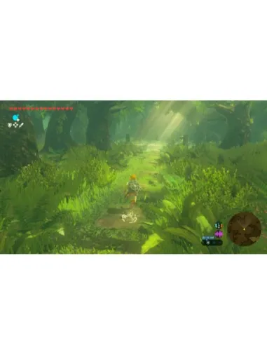ZELDA TEARS KINGDOM UP ITA