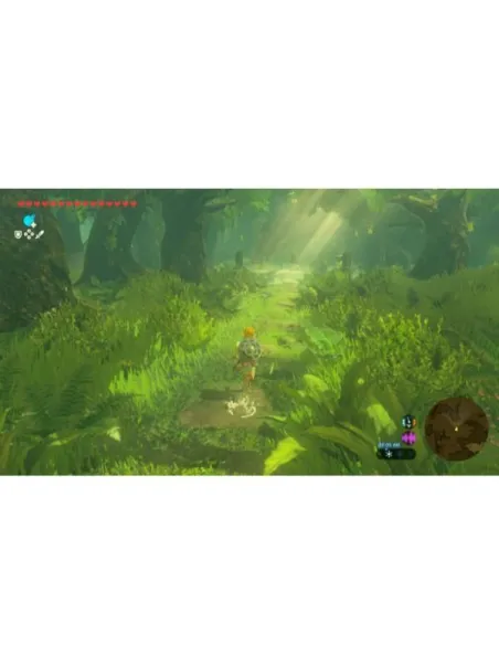 ZELDA TEARS KINGDOM UP ITA