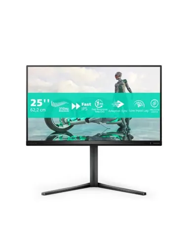 MONITOR 24,5 300HZ REG ALT GAMING