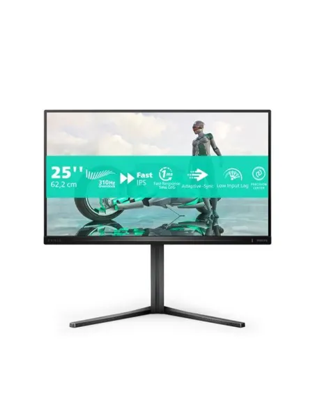 MONITOR 24,5 300HZ REG ALT GAMING