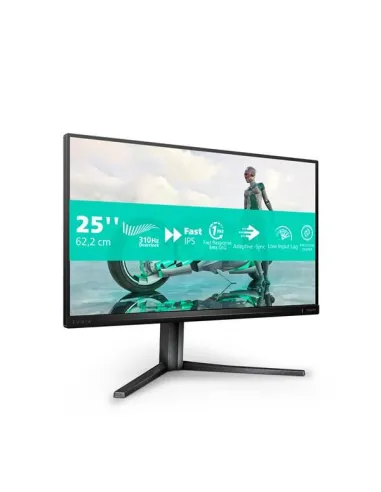MONITOR 24,5 300HZ REG ALT GAMING