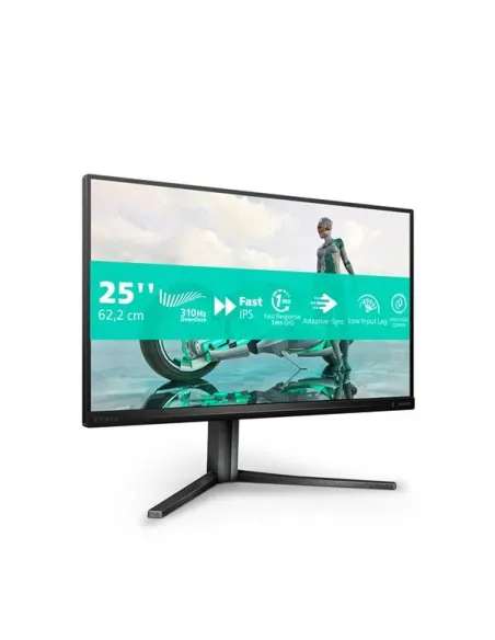 MONITOR 24,5 300HZ REG ALT GAMING