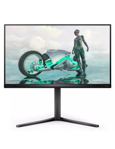 MONITOR 24,5 300HZ REG ALT GAMING