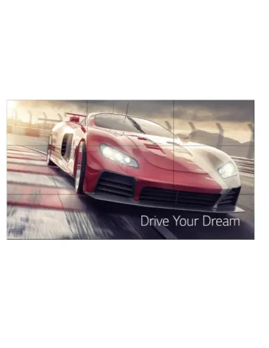 55 LED IPS 1920X1080 16:9 500