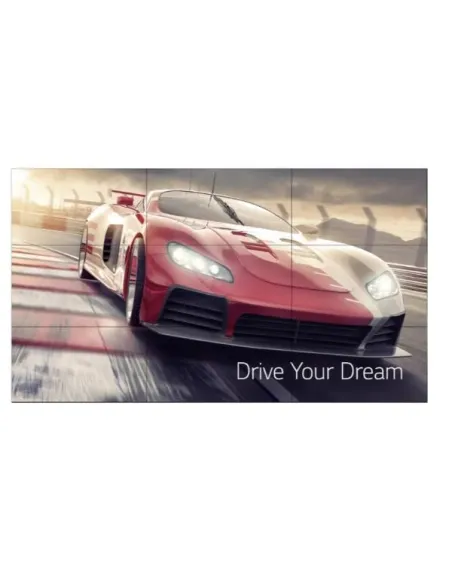 55 LED IPS 1920X1080 16:9 500