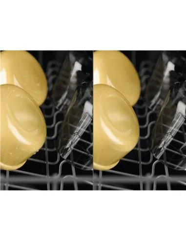 LAVAST INC EES68525LP 14C B