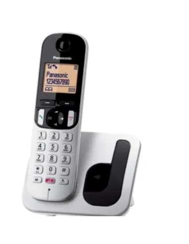 CORDLESS TGC260 SILVER SEGRET