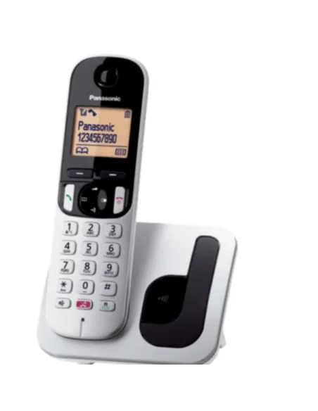 CORDLESS TGC260 SILVER SEGRET