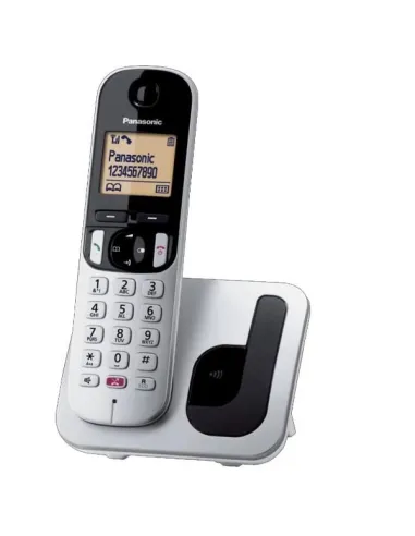 CORDLESS TGC260 SILVER SEGRET