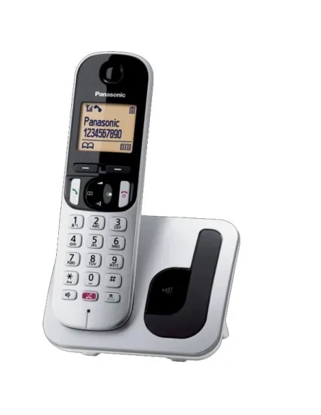 CORDLESS TGC260 SILVER SEGRET