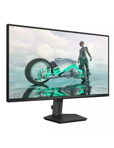 MONITOR 23,8 IPS FHD 144HZ