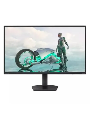 MONITOR 23,8 IPS FHD 144HZ
