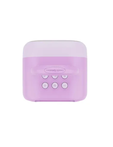 2 MIC SPEAKER FOR KIDS VL