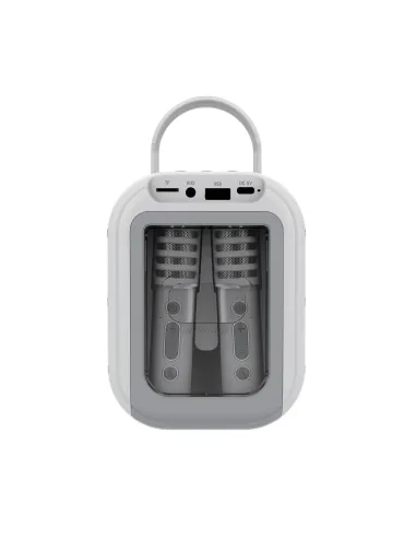 2 MIC SPEAKER FOR KIDS GR