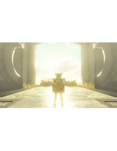 HAC ZELDA TEARS OF KINGDOM