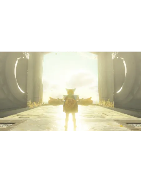 HAC ZELDA TEARS OF KINGDOM