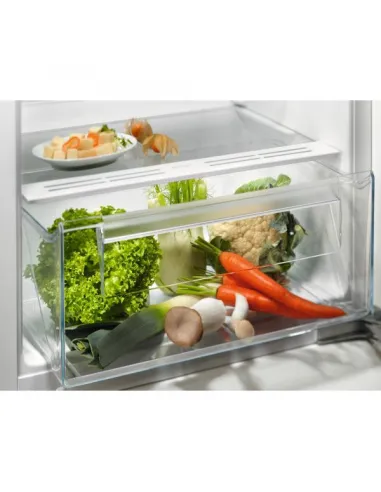 Electrolux FRIGORIFERO ARMADIO FRIGORIFERO STATICO CLASSE E LRB3AE12S