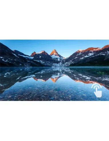 21.5 MONITOR TOUCH 10 POINT P-CAP