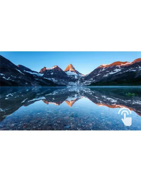 21.5 MONITOR TOUCH 10 POINT P-CAP