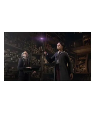 HOGWARTS LEGACY SWITCH