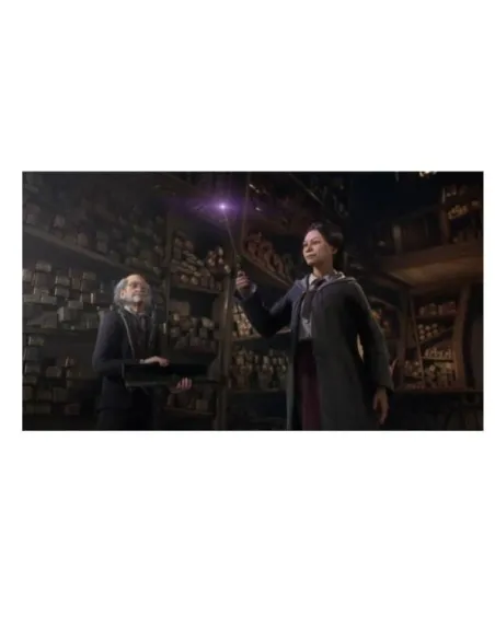 HOGWARTS LEGACY SWITCH