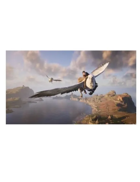 HOGWARTS LEGACY SWITCH