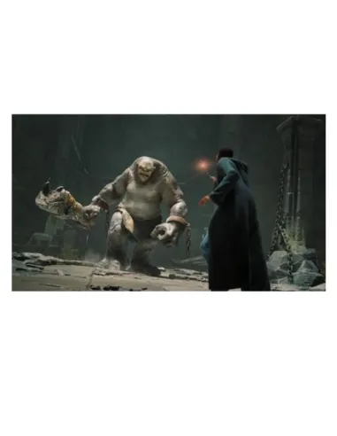 HOGWARTS LEGACY SWITCH