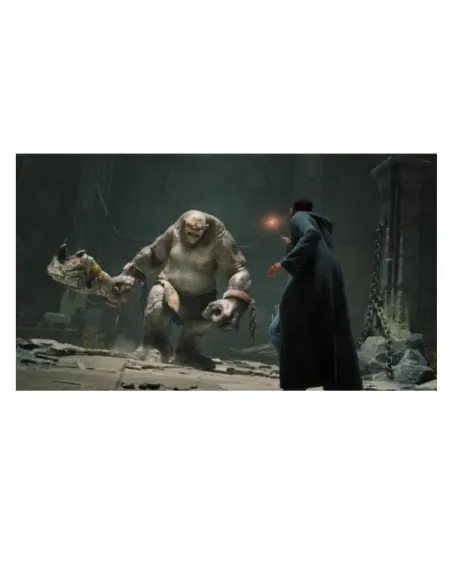 HOGWARTS LEGACY SWITCH