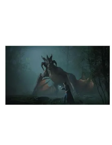 HOGWARTS LEGACY SWITCH