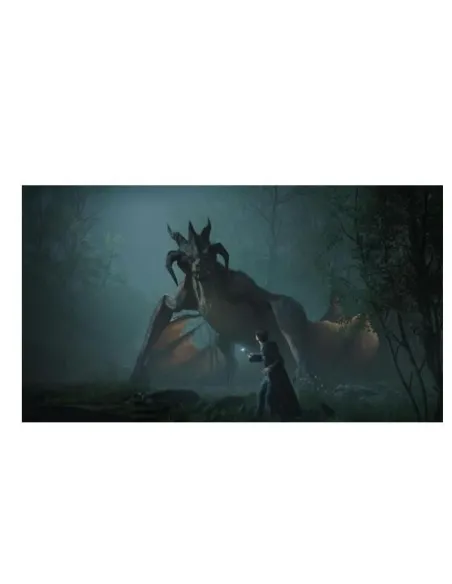 HOGWARTS LEGACY SWITCH