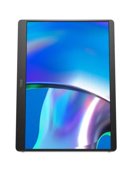 DELL PRO 14 PLUS PORTBLE MNTR P1425