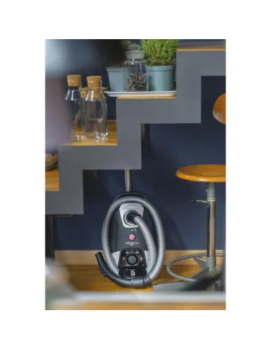 HOOVER TRAINO SACCO HE320PET