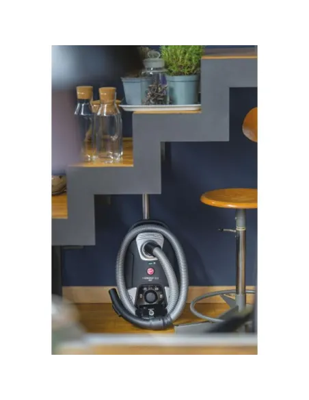 HOOVER TRAINO SACCO HE320PET