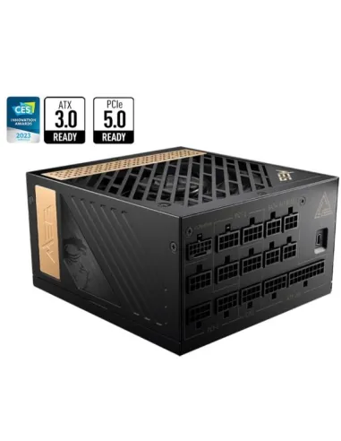 MEG AI1300P PCIE5