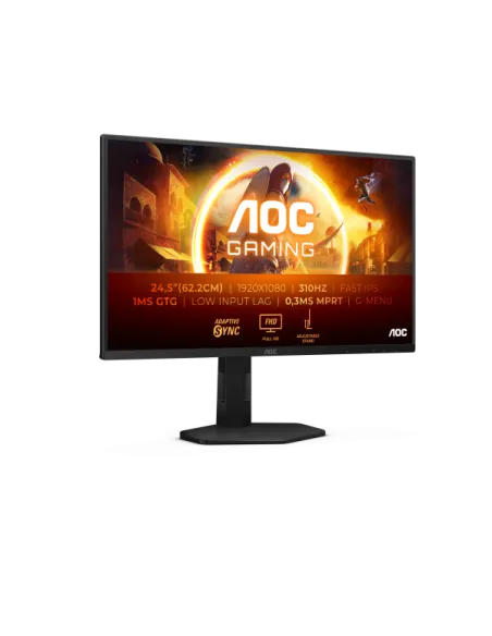 MONITOR 25 IPS 300HZ GAMING REG