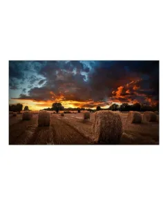 VM46B-U 46 IPS 1920X1080 500 CD/M2