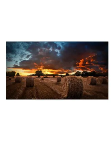 VM46B-U 46 IPS 1920X1080 500 CD/M2