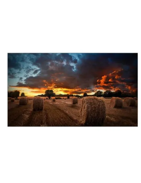 VM46B-U 46 IPS 1920X1080 500 CD/M2