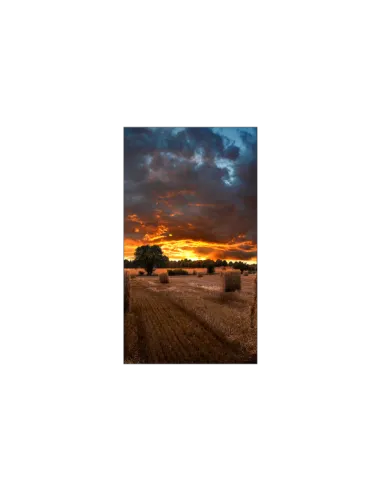 VM46B-U 46 IPS 1920X1080 500 CD/M2