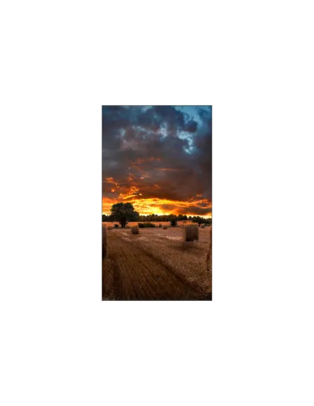 VM46B-U 46 IPS 1920X1080 500 CD/M2