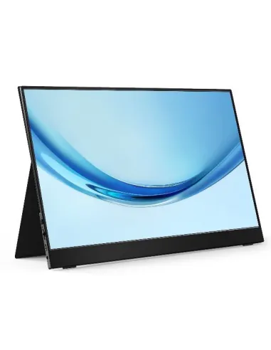 17 3 PORTABLE FULL HD 60HZ