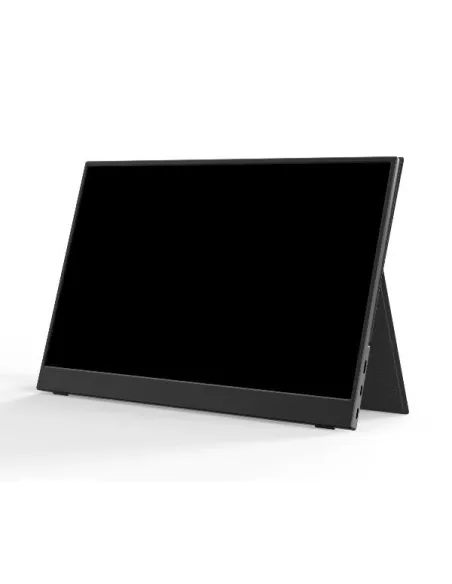 15 6 PORTABLE FULL HD 60HZ