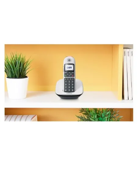 CORDLESS SENIOR CD5001 WHITE