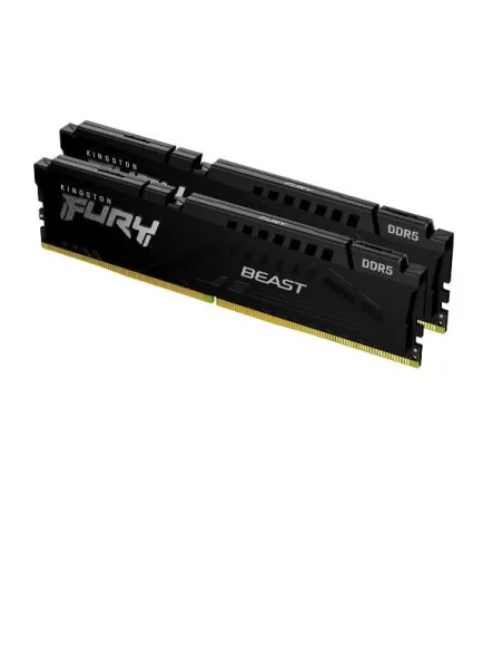 16GB 6000 DDR5 DIMM K2 F.B.B. EXPO
