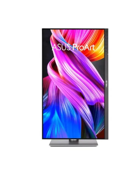 PROART PROFESSIONAL 24 QHD IPS